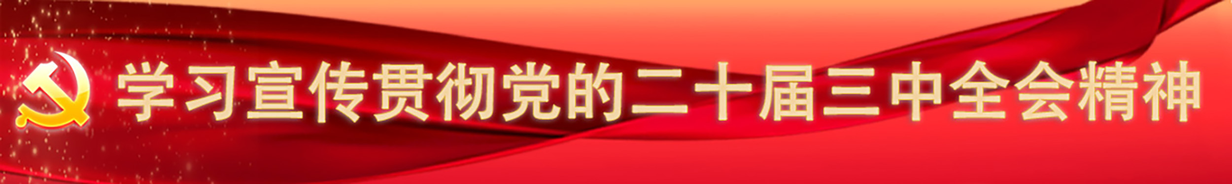 學習宣傳貫徹黨的二十屆三中全會精神